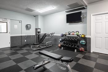 A gym with a bench, weights, and a television.
